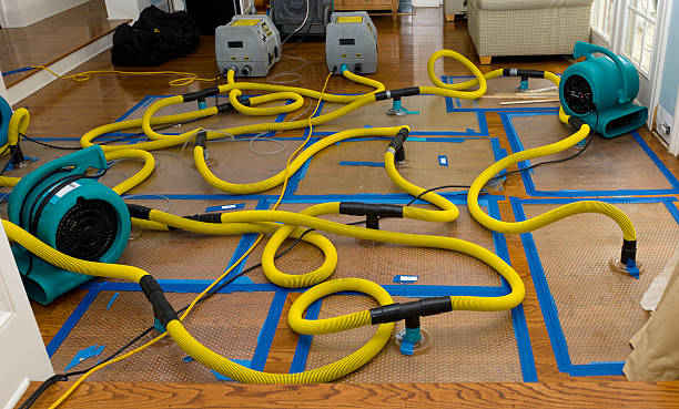 Professional Crawl Space Water Removal technician working in Mashpee, MA